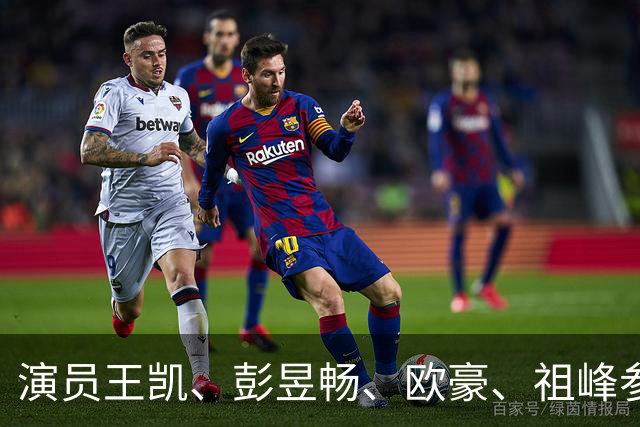 演员王凯、彭昱畅、欧豪、祖峰参加座谈会